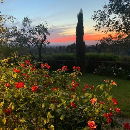 Podere Jana Antico Frantoio Vinci Dış mekan fotoğraf