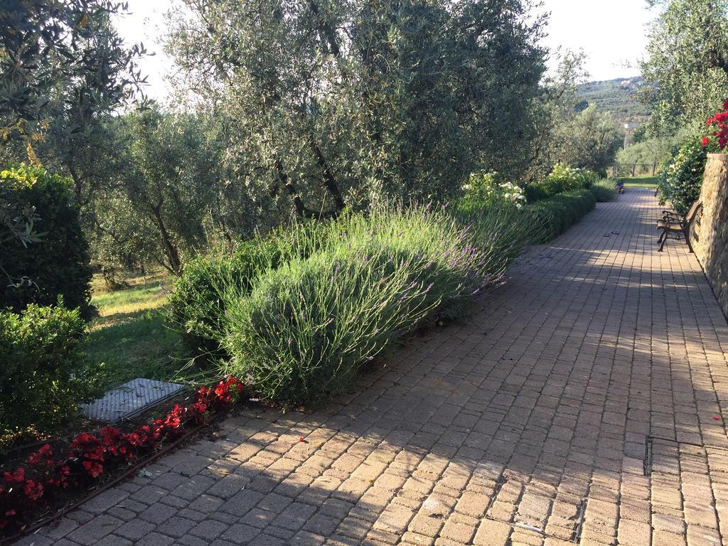 Podere Jana Antico Frantoio Vinci Dış mekan fotoğraf