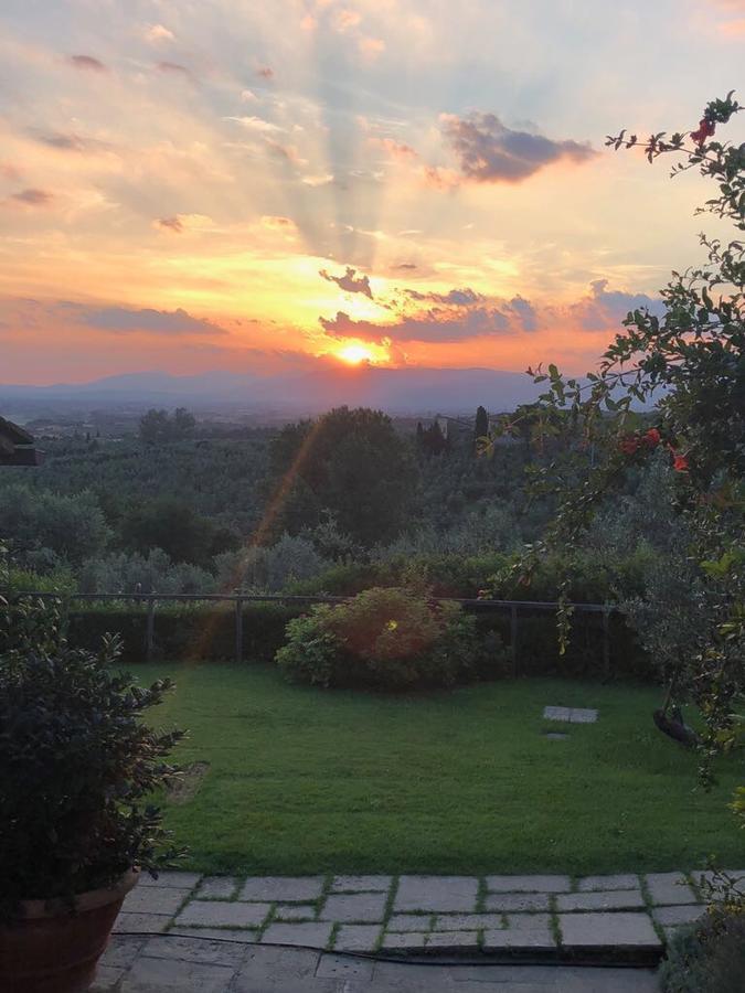 Podere Jana Antico Frantoio Vinci Dış mekan fotoğraf