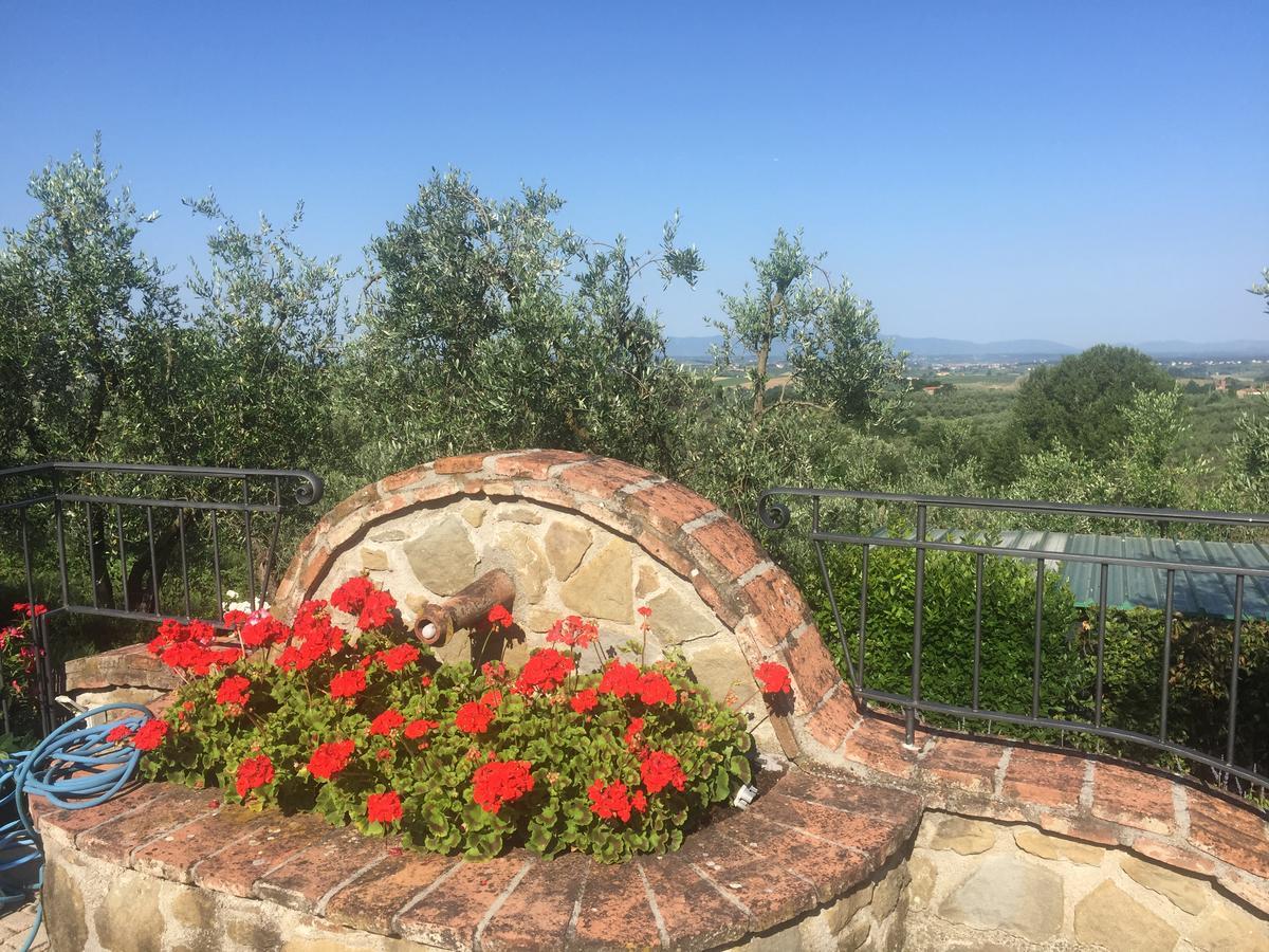 Podere Jana Antico Frantoio Vinci Dış mekan fotoğraf